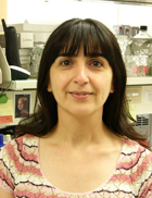 Susanna Babasyan
